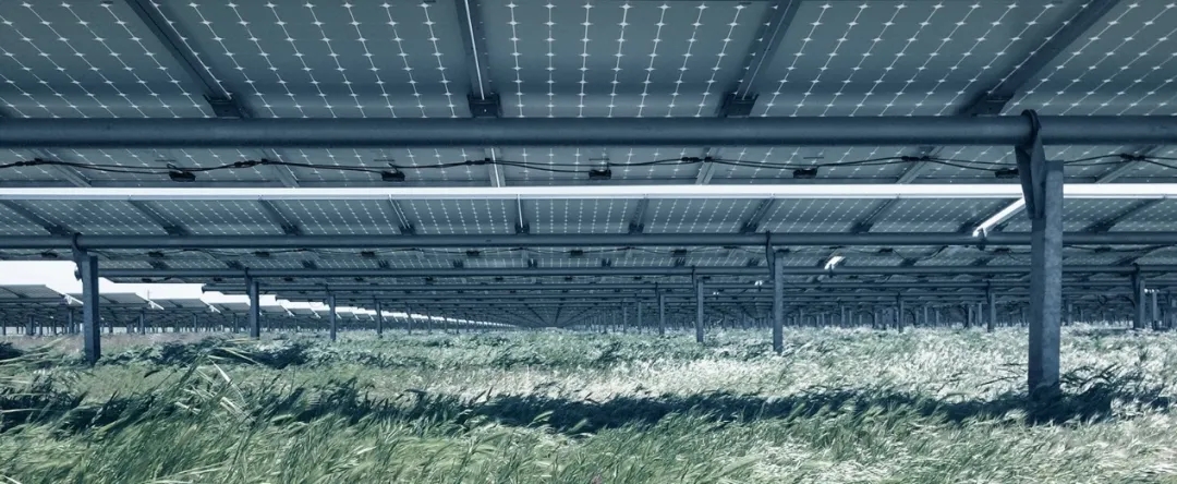 全國光伏前十排名